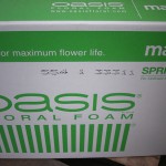 Oasis® Springtime