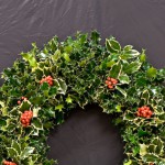 Wreath (Holly)