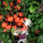 Large Potted Chinese Lantern