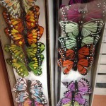 Butterflies