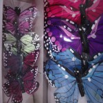 Butterflies