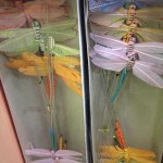 Dragonflies