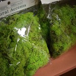 Moss (Schusters)