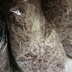 Spanish Moss (Grey)