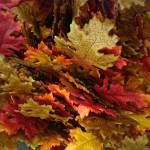 Autumn Leaves