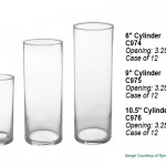 Cylinder Vases