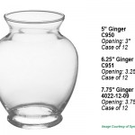 Ginger Vases