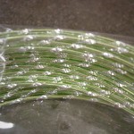 Apple Green Diamond Wire