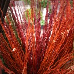 Silks, Sticks, Etc