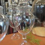 Terrariums