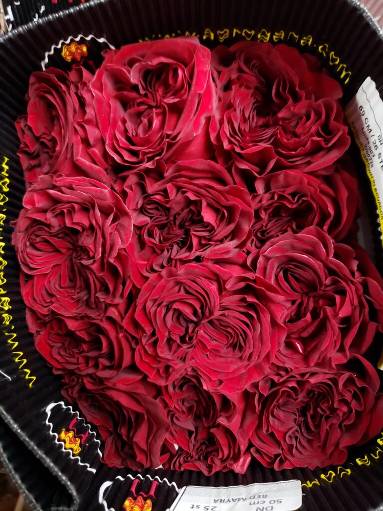 Hearts