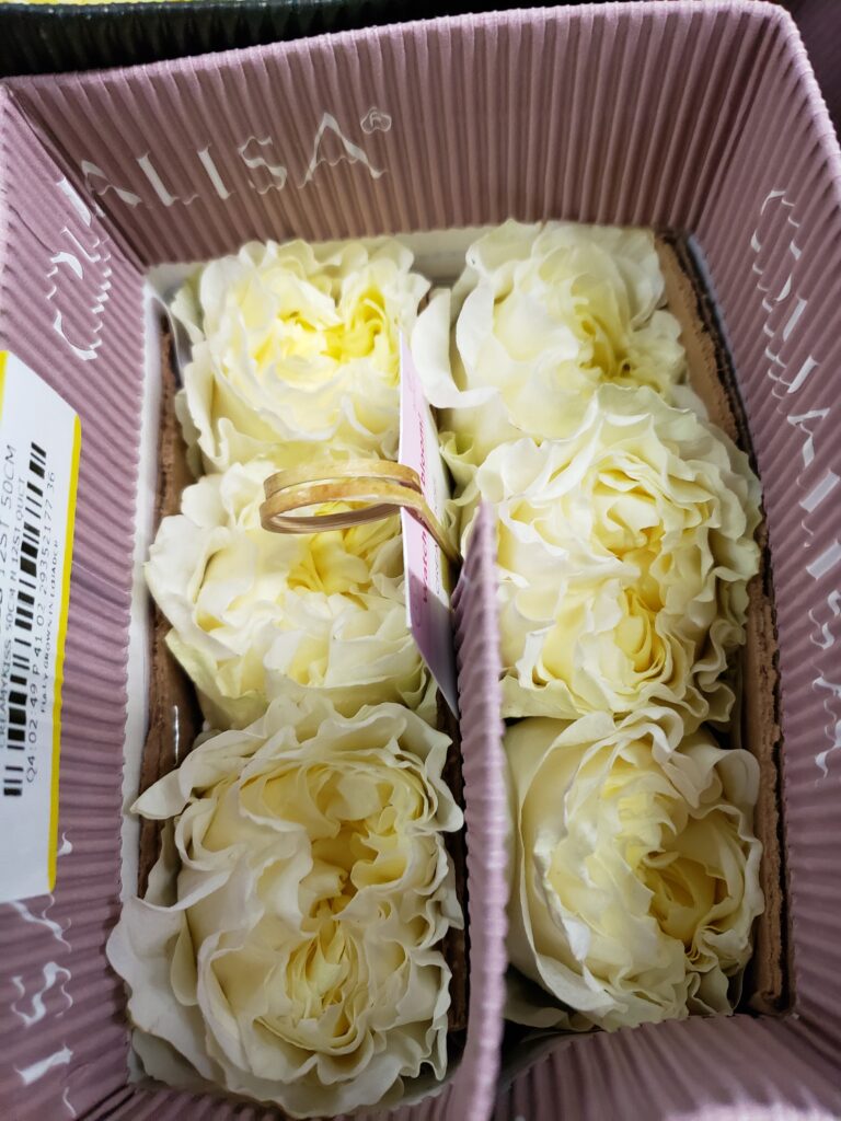 Creamy Kiss