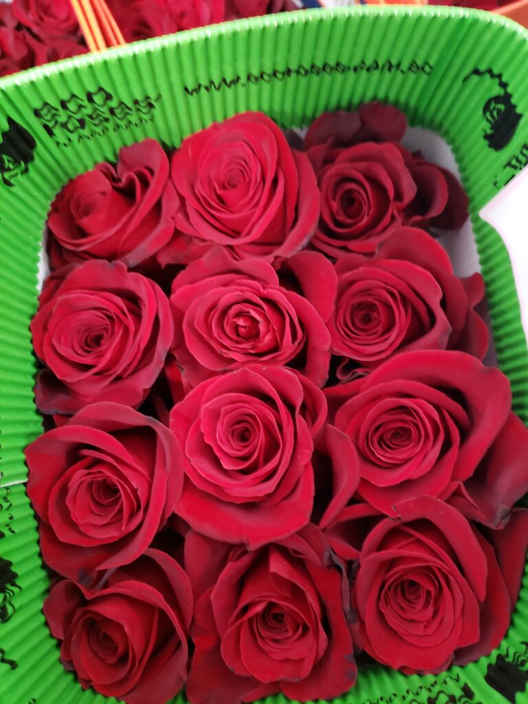 Redvolution