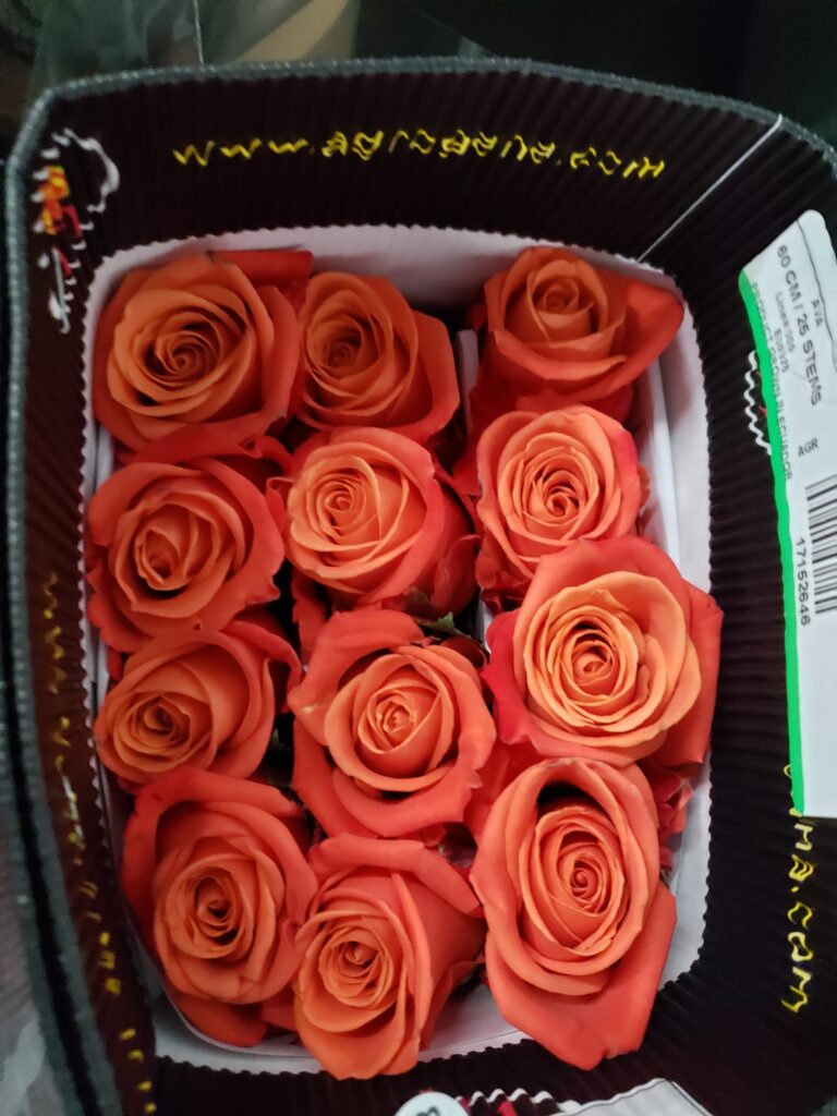 Orange Crush