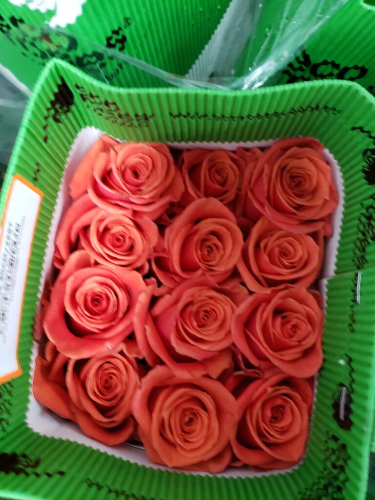 Cayenne