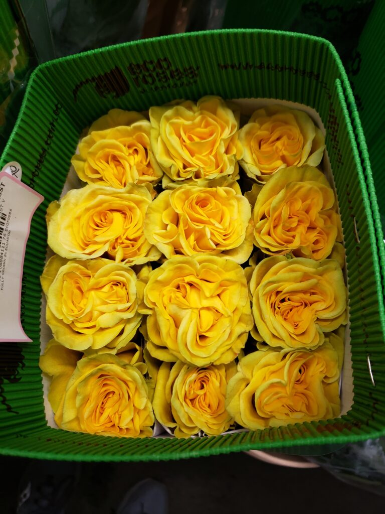 High and Yellow Magic