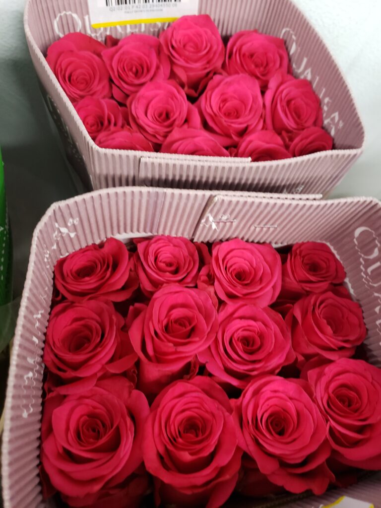 V.I. Pink