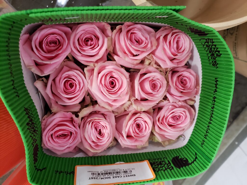 Sweet Cake