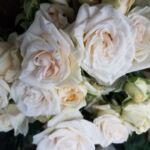 Northwest Wholesale Florists